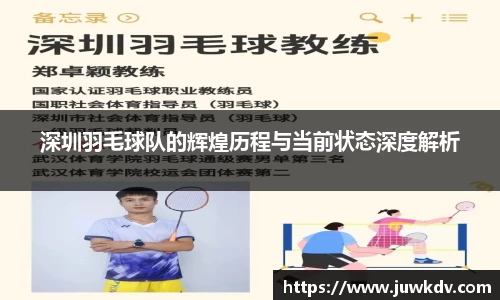 深圳羽毛球队的辉煌历程与当前状态深度解析
